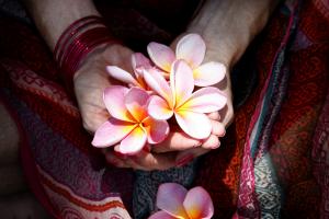 Hands holding a frangipani on the cover of the Do-In Self Massage Booklet