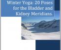 Cover of the Winter Yoga Book by Spirit Yoga
