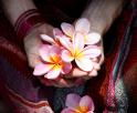 Hands holding a frangipani on the cover of the Do-In Self Massage Booklet