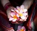 Hands holding a frangipani on the cover of the Do-In Self Massage Booklet